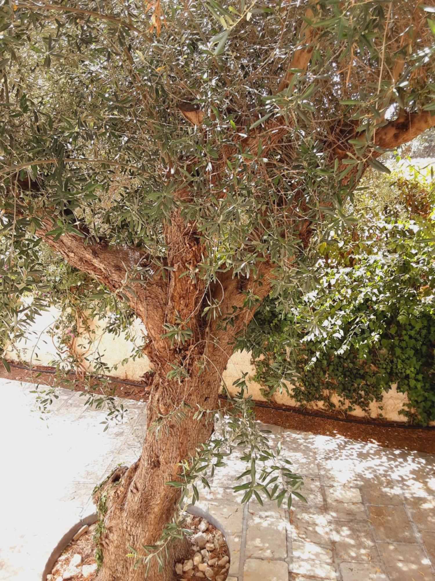 טאראנטו Relais Lavalle מראה חיצוני תמונה